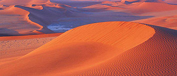 布里斯弗书记节奏掌控全场，领队汇报胜利信息