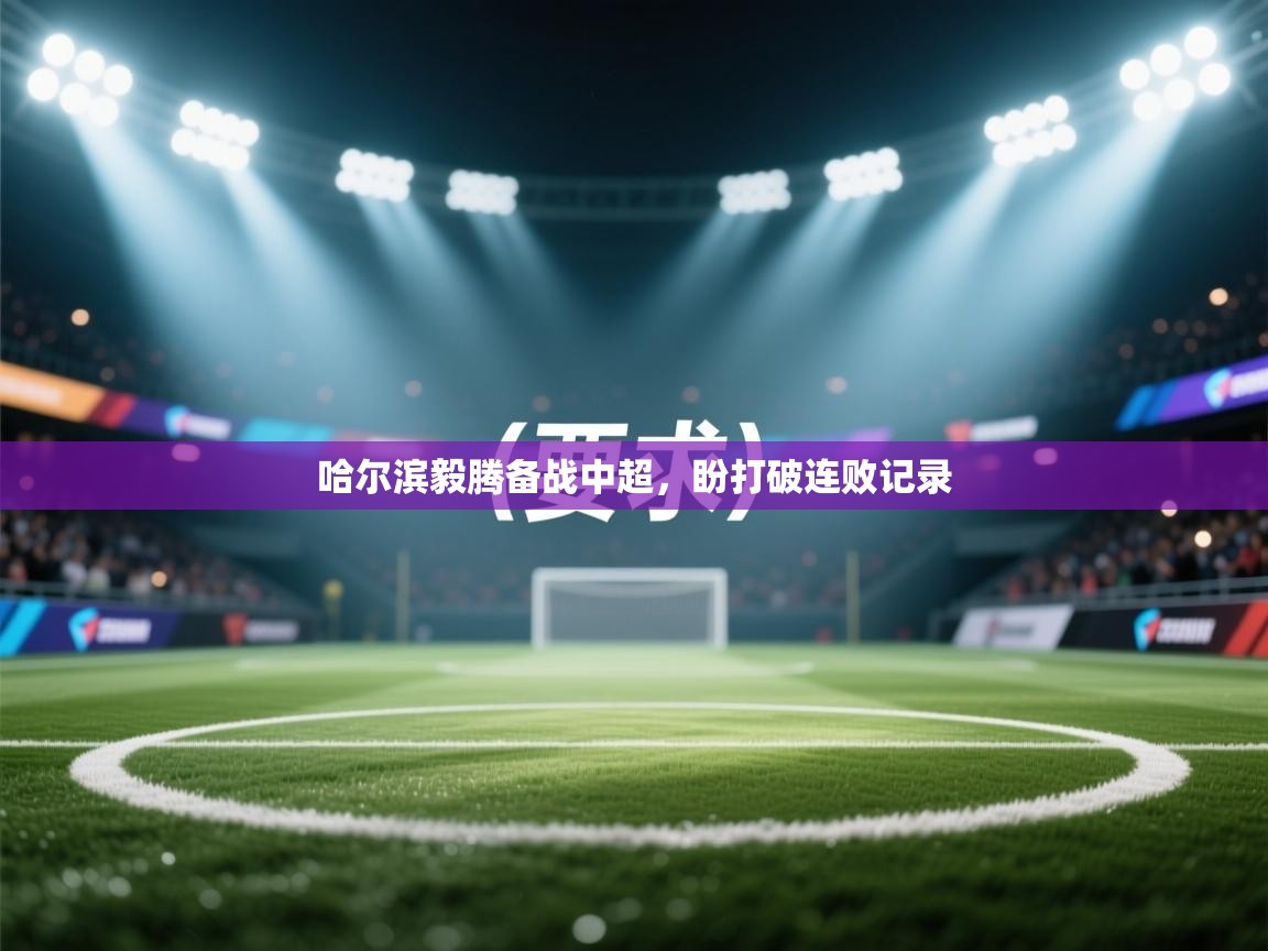 哈尔滨毅腾备战中超,盼打破连败记录 第2张