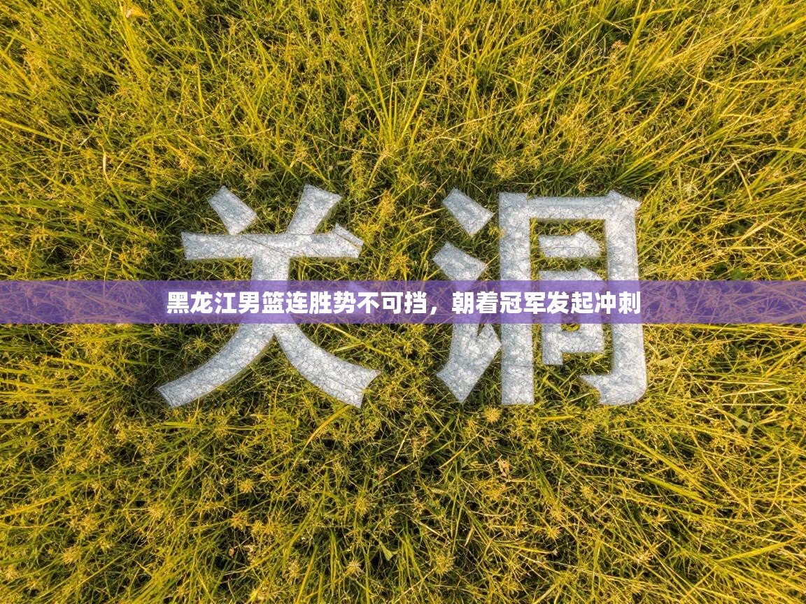 黑龙江男篮连胜势不可挡，朝着冠军发起冲刺  第2张