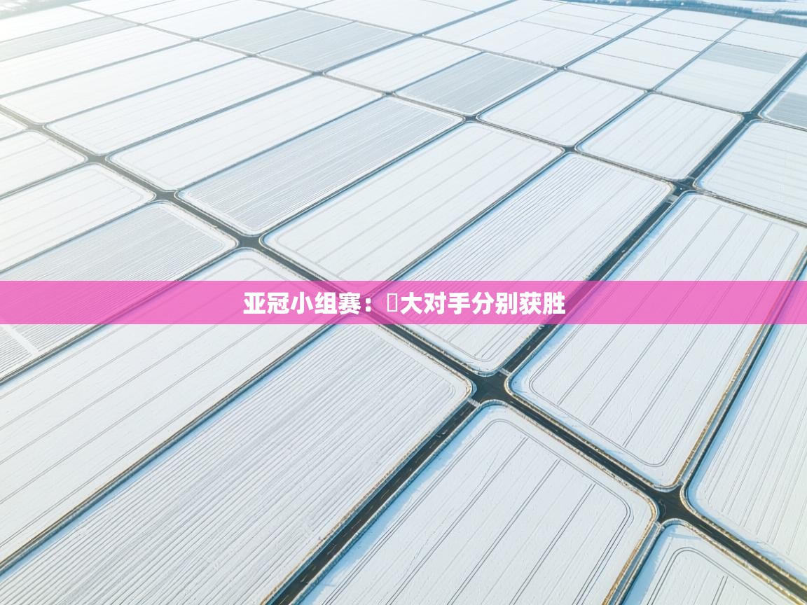 亚冠小组赛:恆大对手分别获胜 第1张